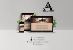 Tvorba webu / webdesign